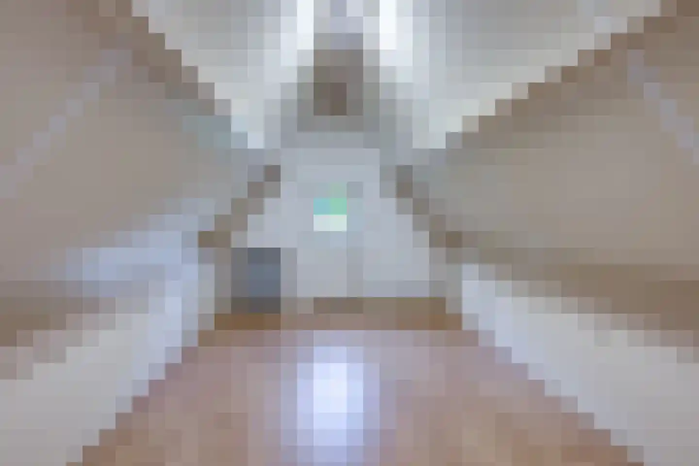 Achter 't Hof 36 Hoeven thumbnail 35
