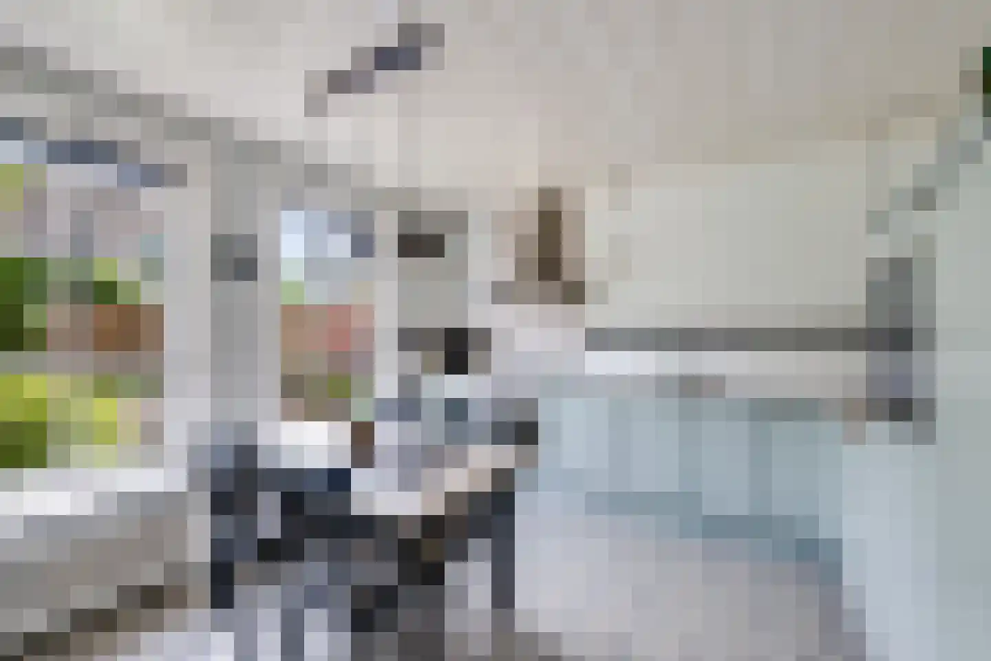Achter 't Hof 36 Hoeven thumbnail 4