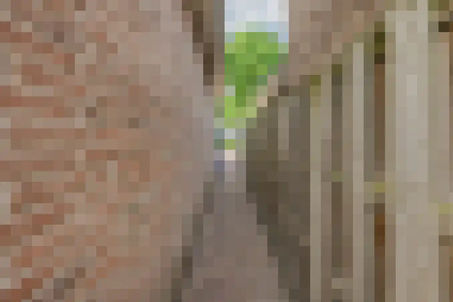 Achter 't Hof 36 Hoeven thumbnail 42