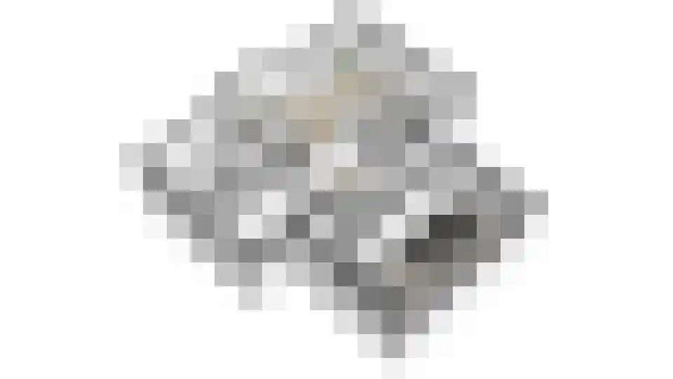 Achter 't Hof 36 Hoeven thumbnail 46