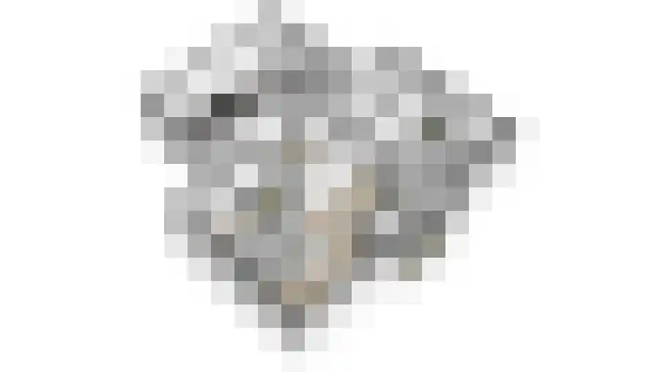 Achter 't Hof 36 Hoeven thumbnail 47