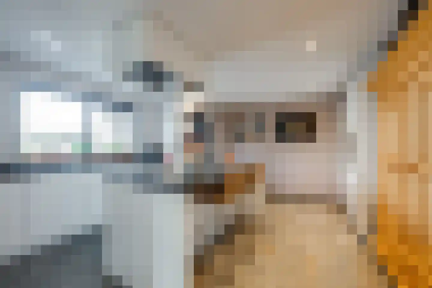 Achter 't Hof 38 Hoeven thumbnail 12