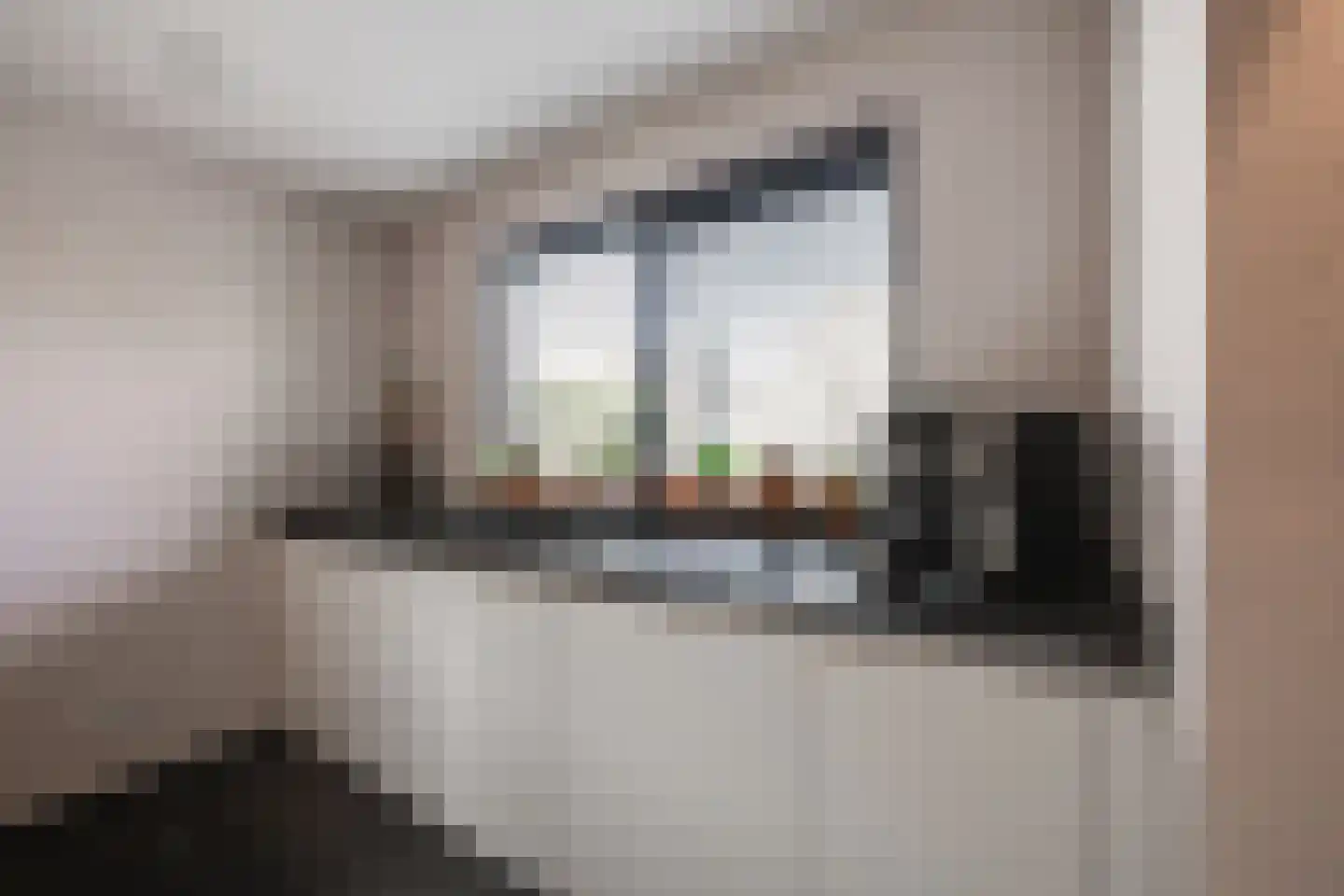 Achter 't Hof 38 Hoeven thumbnail 15