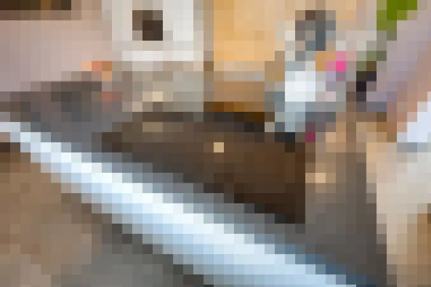 Achter 't Hof 38 Hoeven thumbnail 16