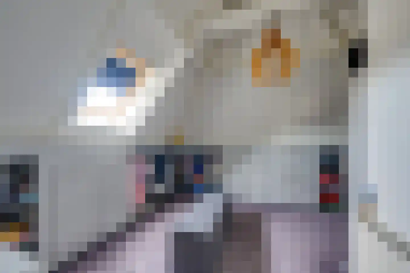 Achter 't Hof 38 Hoeven thumbnail 24