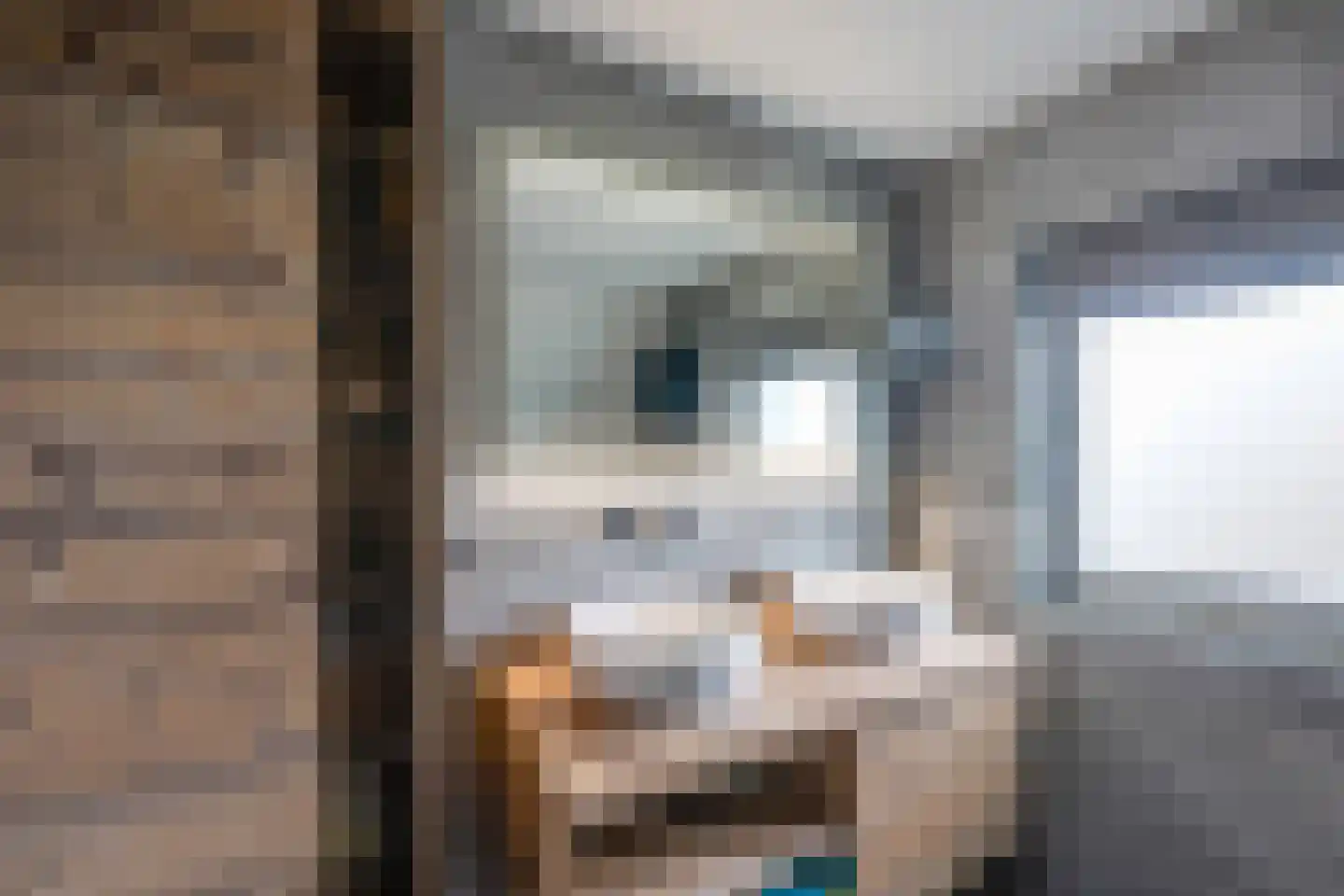 Achter 't Hof 38 Hoeven thumbnail 4
