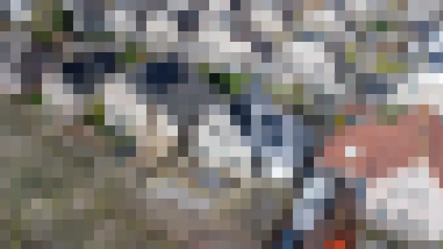 Achter 't Hof 38 Hoeven thumbnail 40