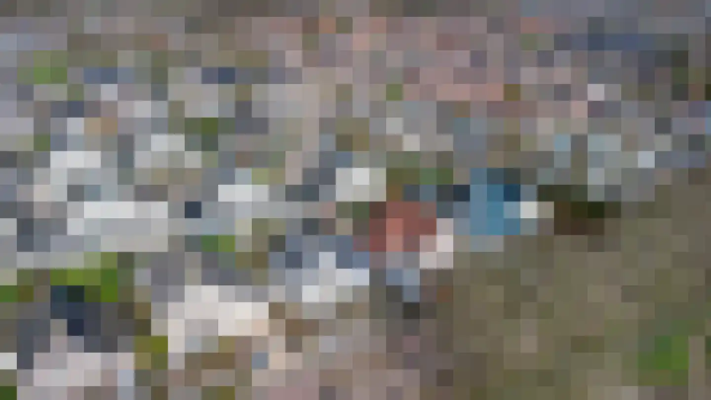 Achter 't Hof 38 Hoeven thumbnail 41