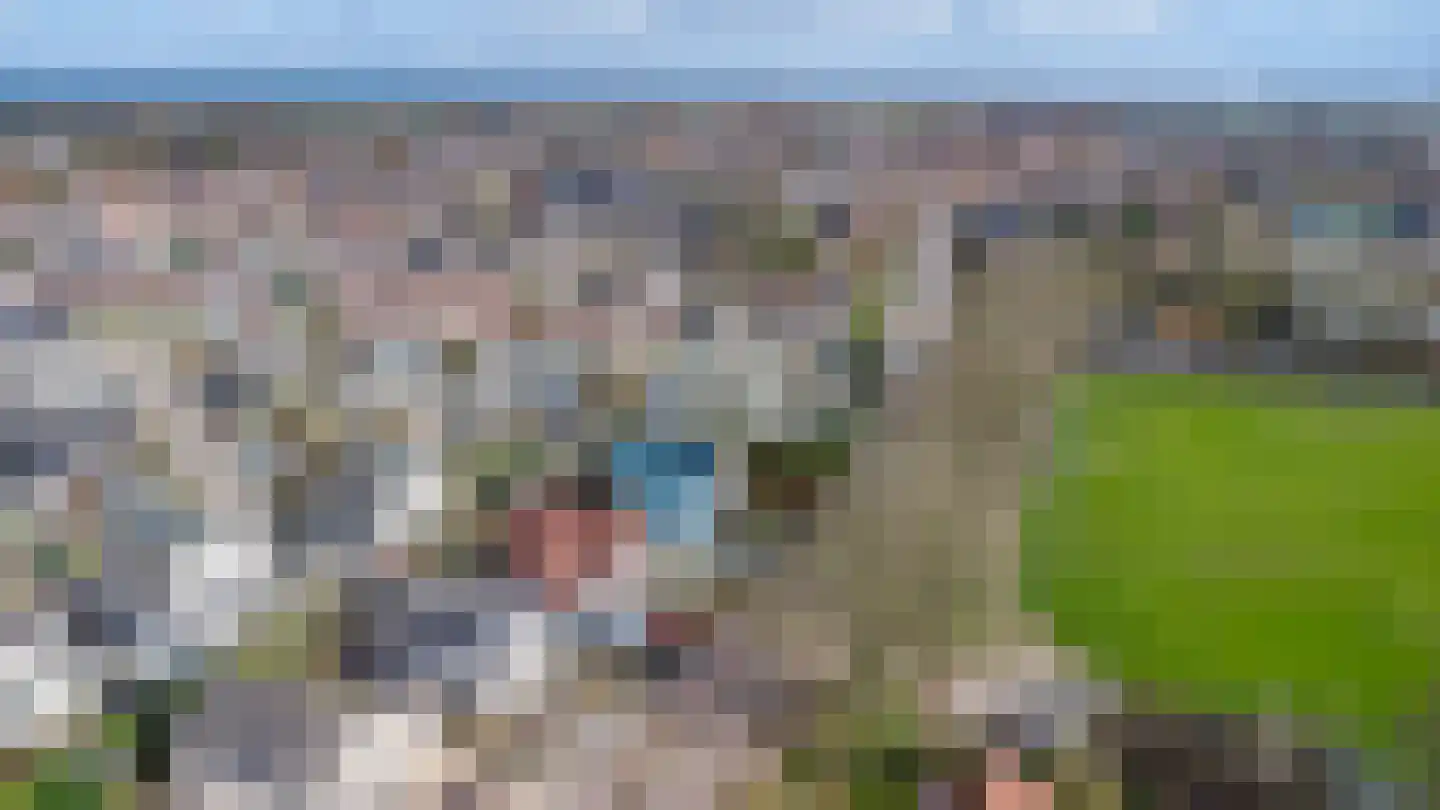 Achter 't Hof 38 Hoeven thumbnail 42