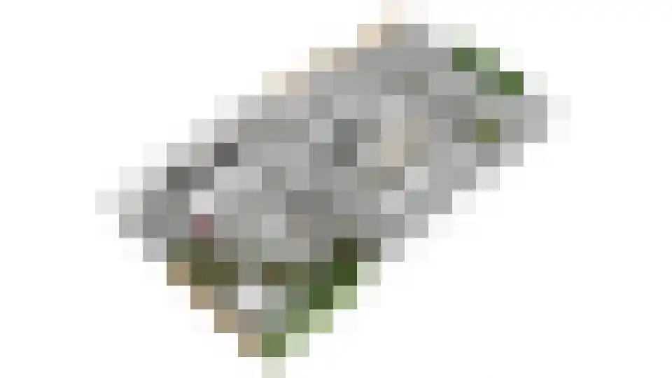 Achter 't Hof 38 Hoeven thumbnail 55