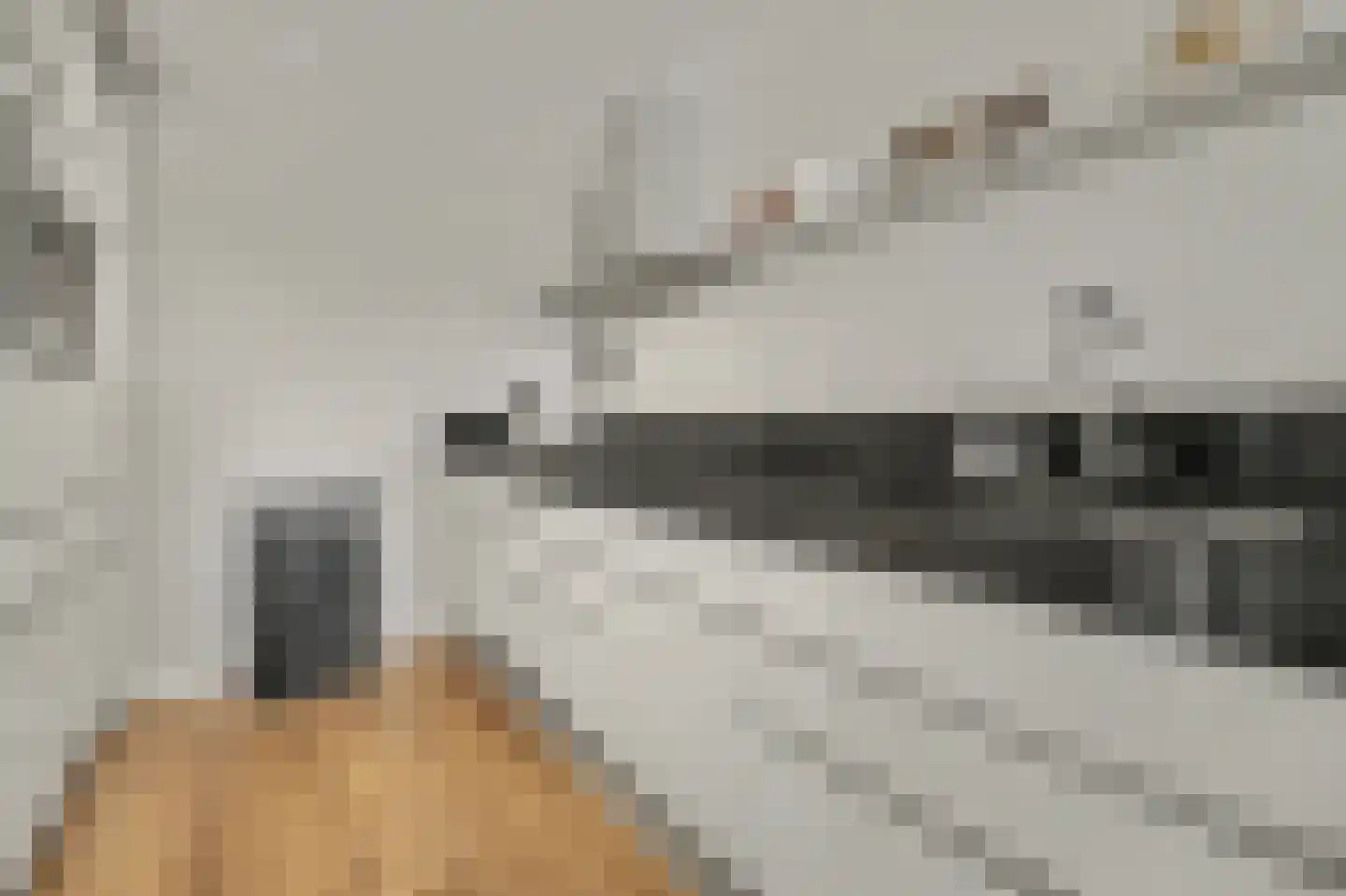 Achter 't Raadhuis 20 Drunen thumbnail 12
