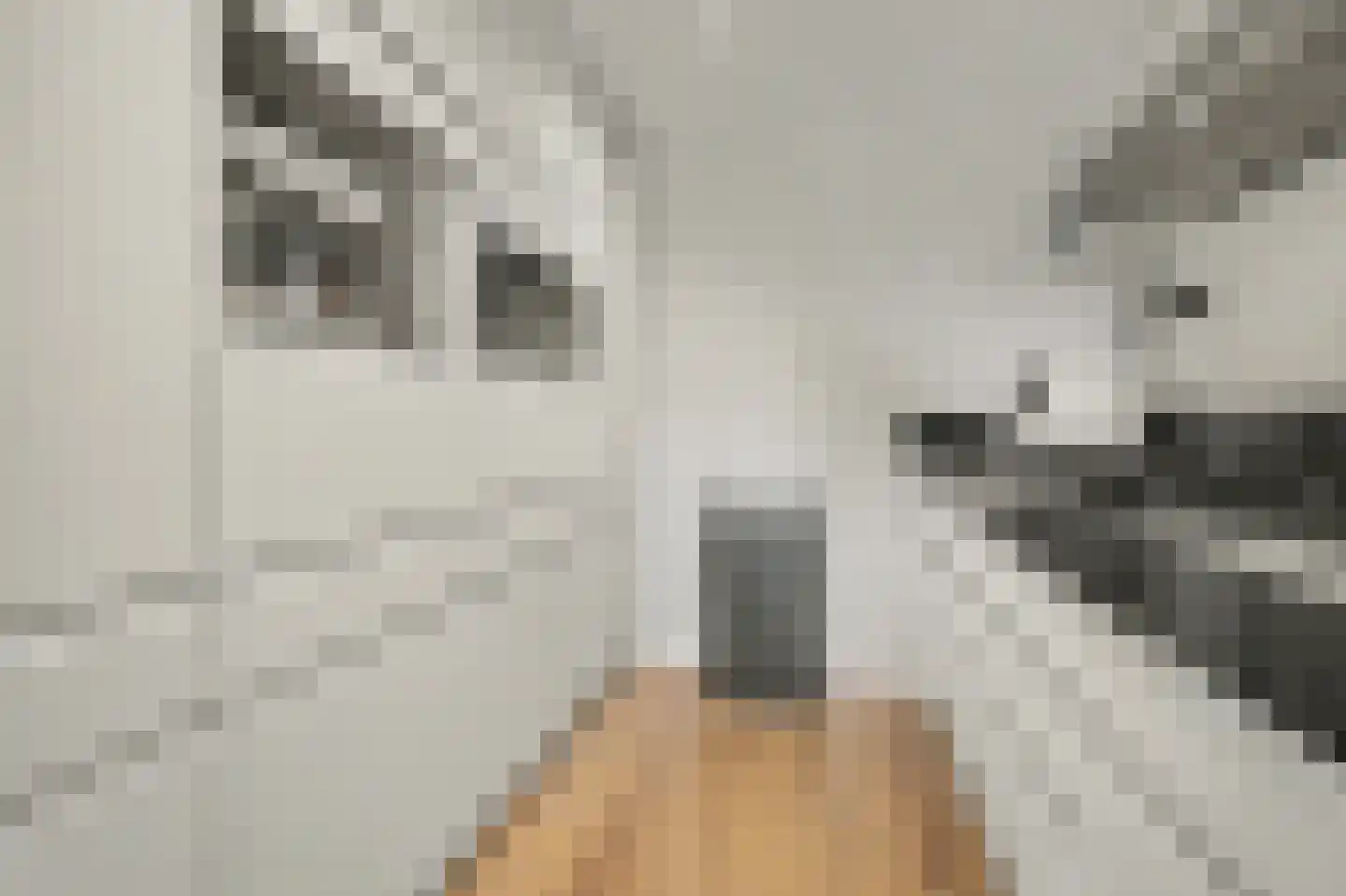 Achter 't Raadhuis 20 Drunen thumbnail 13