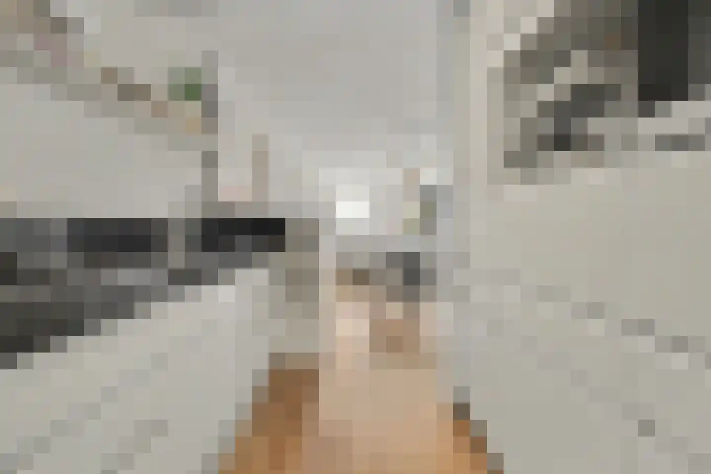 Achter 't Raadhuis 20 Drunen thumbnail 15