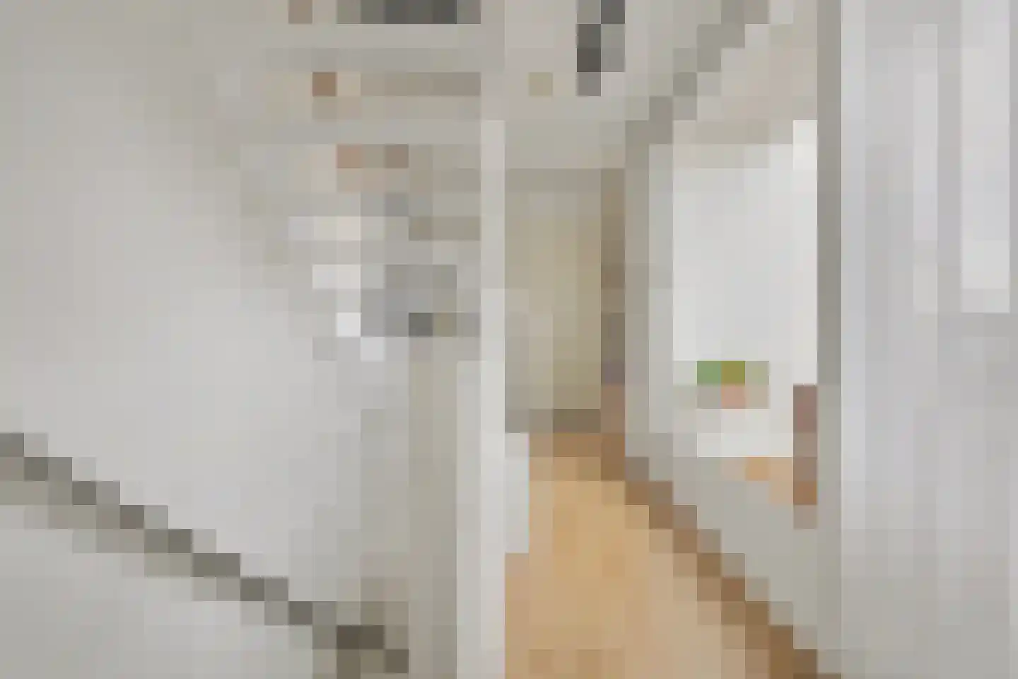 Achter 't Raadhuis 20 Drunen thumbnail 23