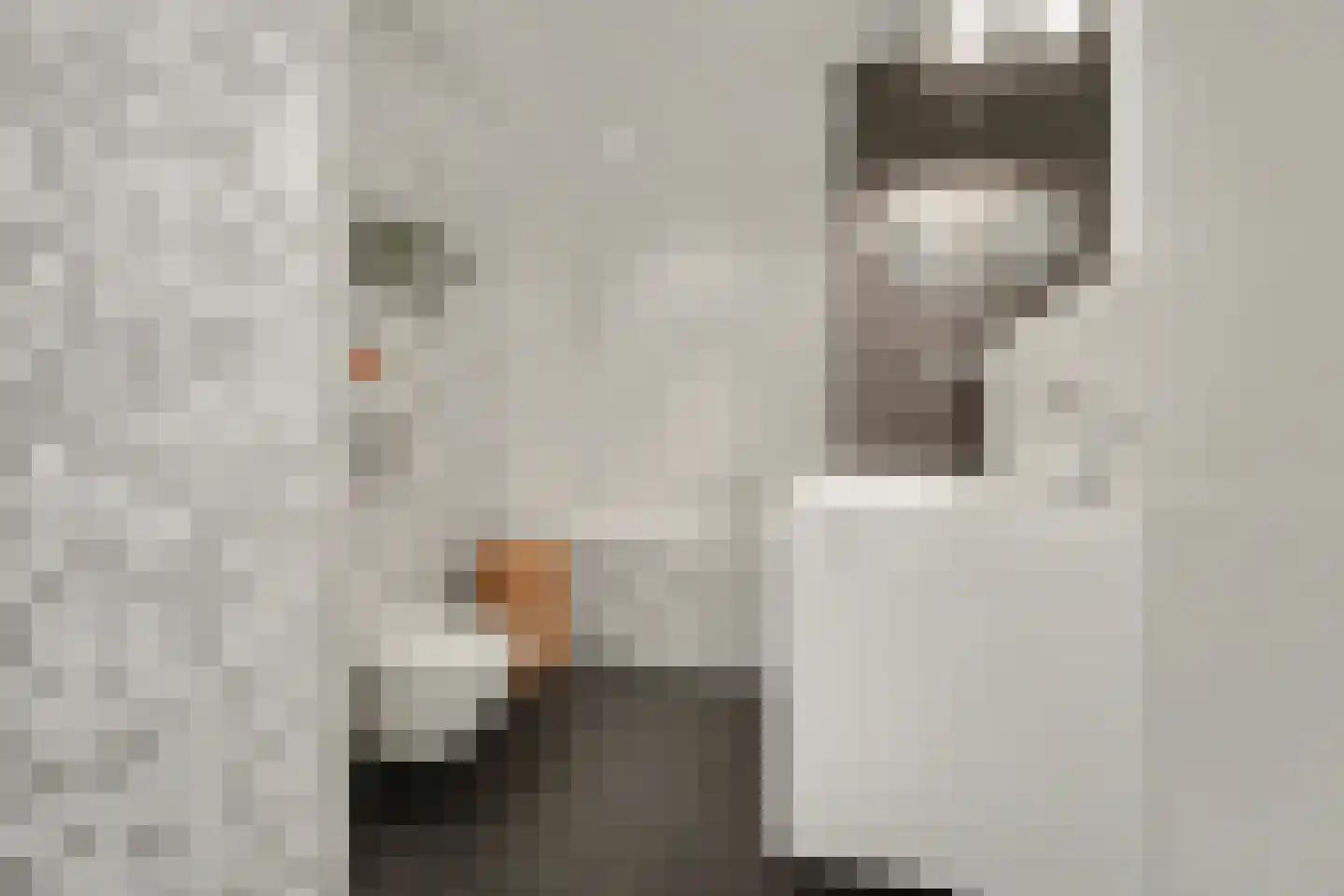 Achter 't Raadhuis 20 Drunen thumbnail 29