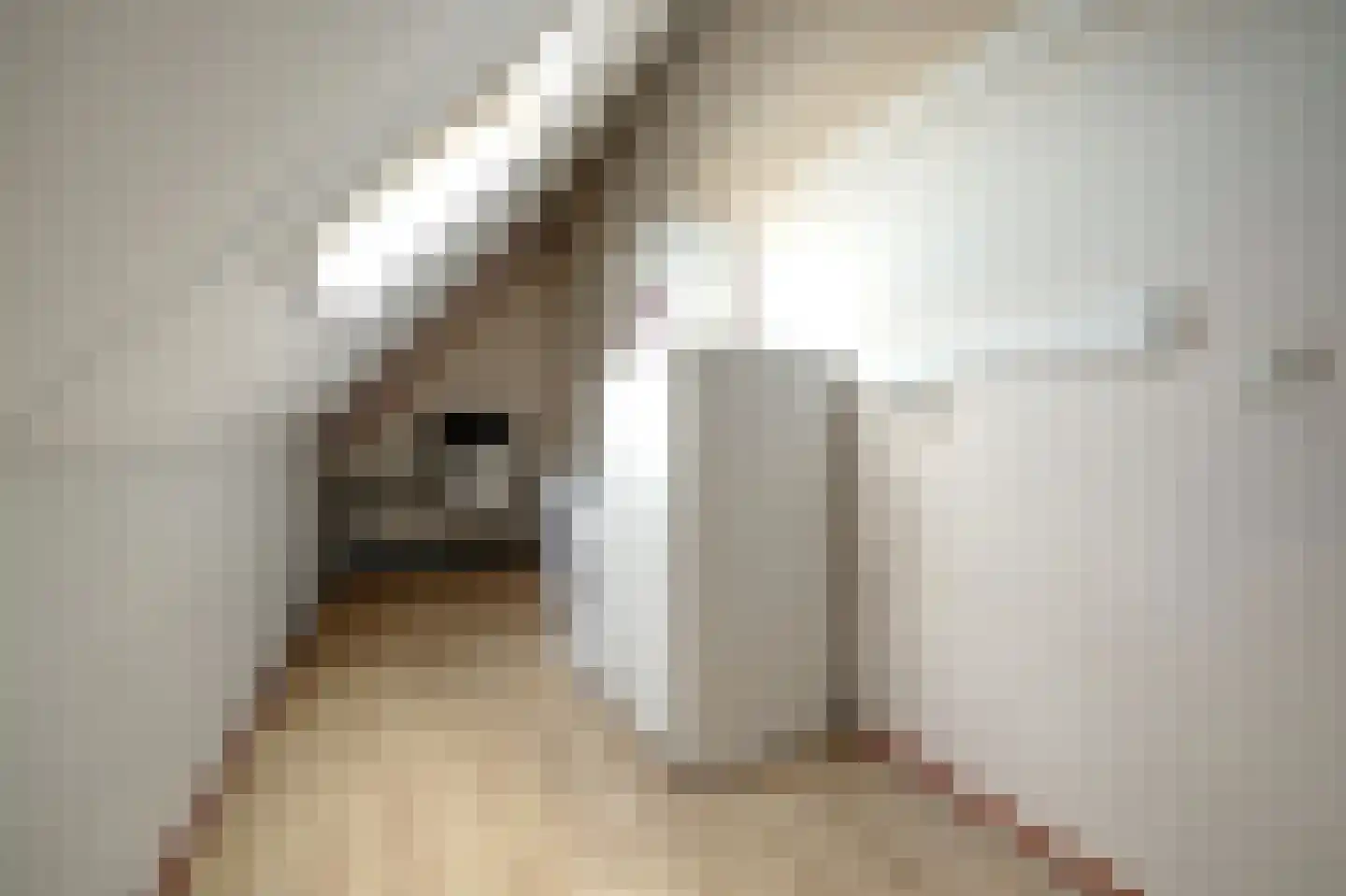 Achter 't Raadhuis 20 Drunen thumbnail 38