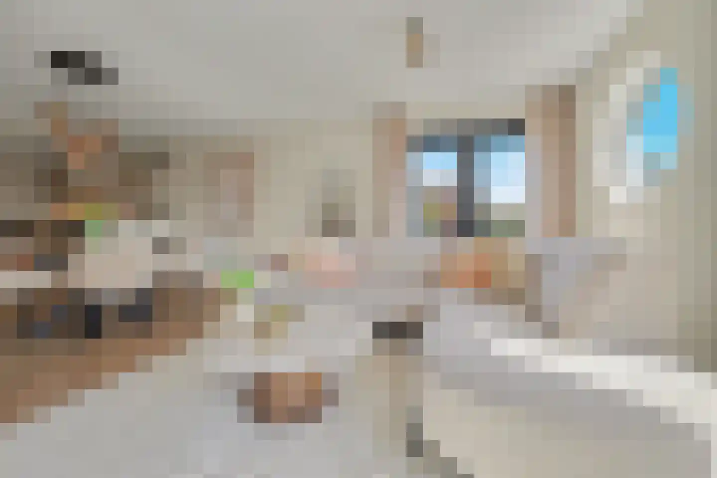 Achter 't Raadhuis 20 Drunen thumbnail 4