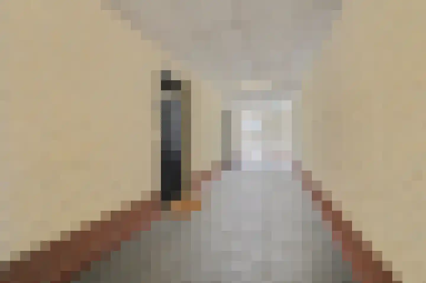Achter 't Raadhuis 20 Drunen thumbnail 43
