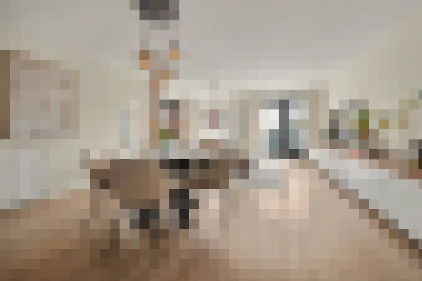 Achter 't Raadhuis 20 Drunen thumbnail 9