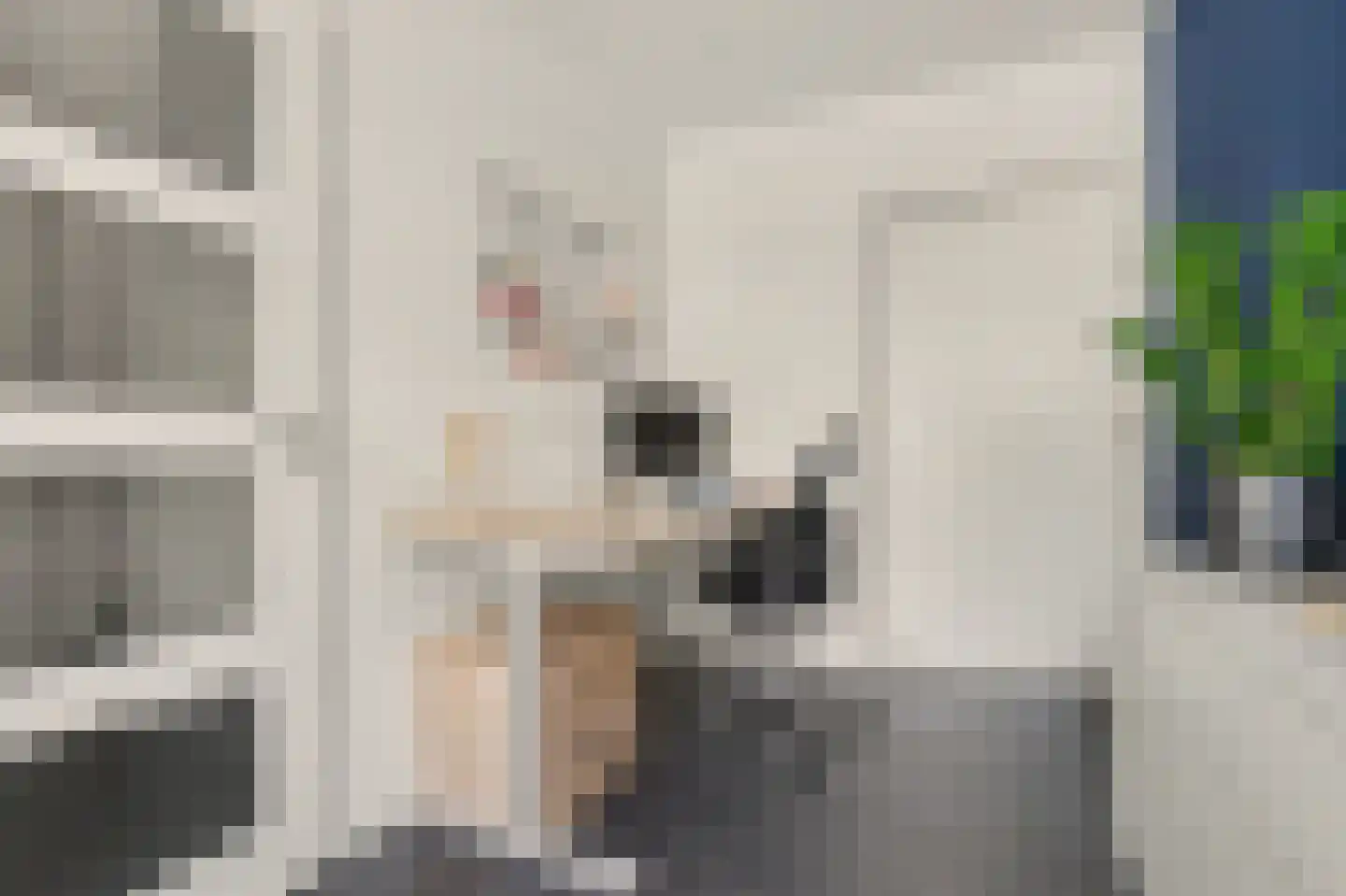 Achter 't Raadhuis 4 Drunen thumbnail 17