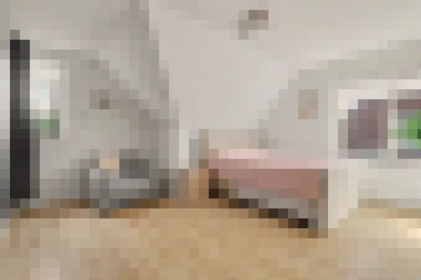 Achter 't Raadhuis 4 Drunen thumbnail 22