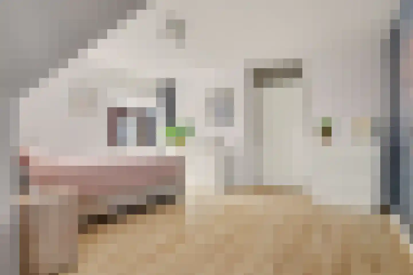 Achter 't Raadhuis 4 Drunen thumbnail 23