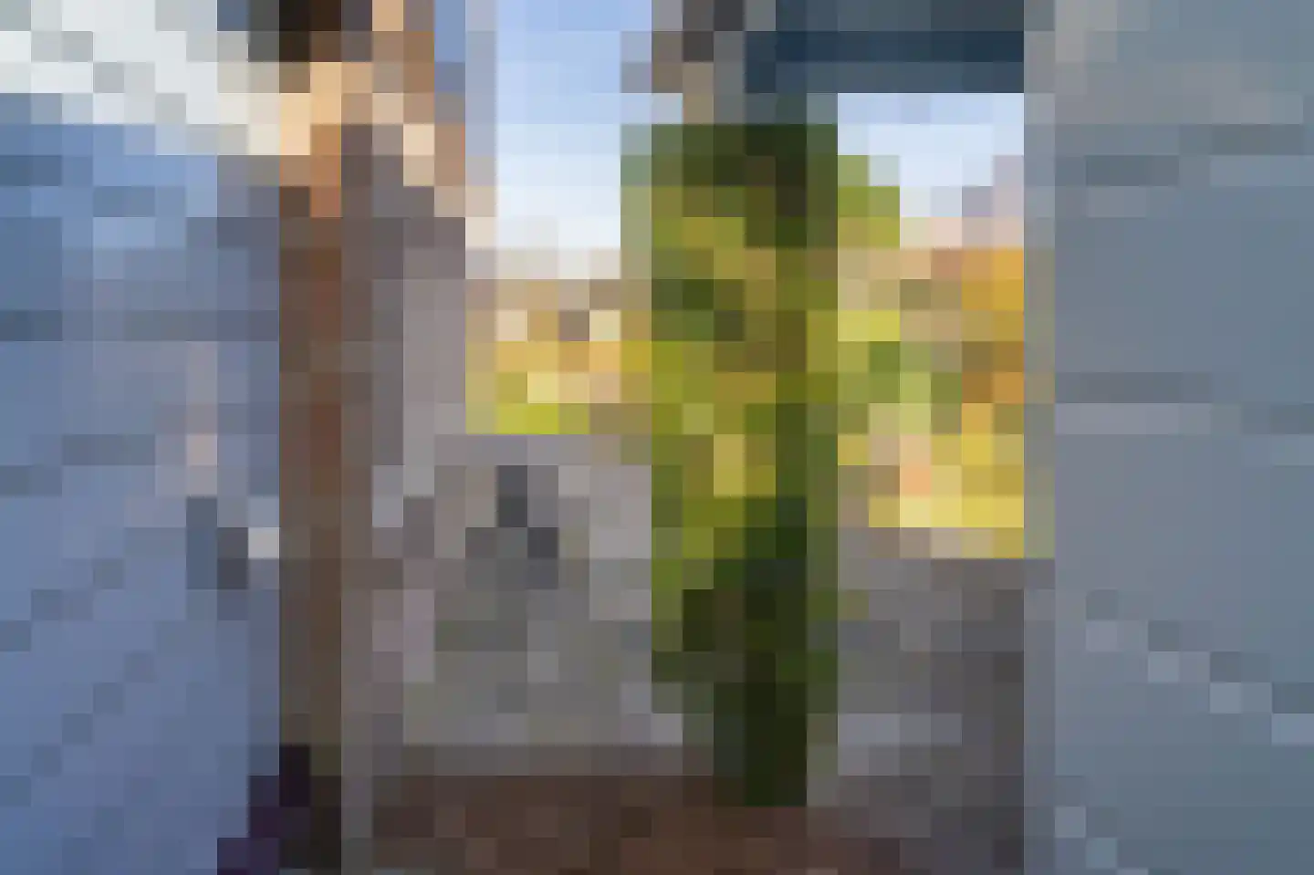 Achter 't Rad 33 Bovenkarspel thumbnail 33