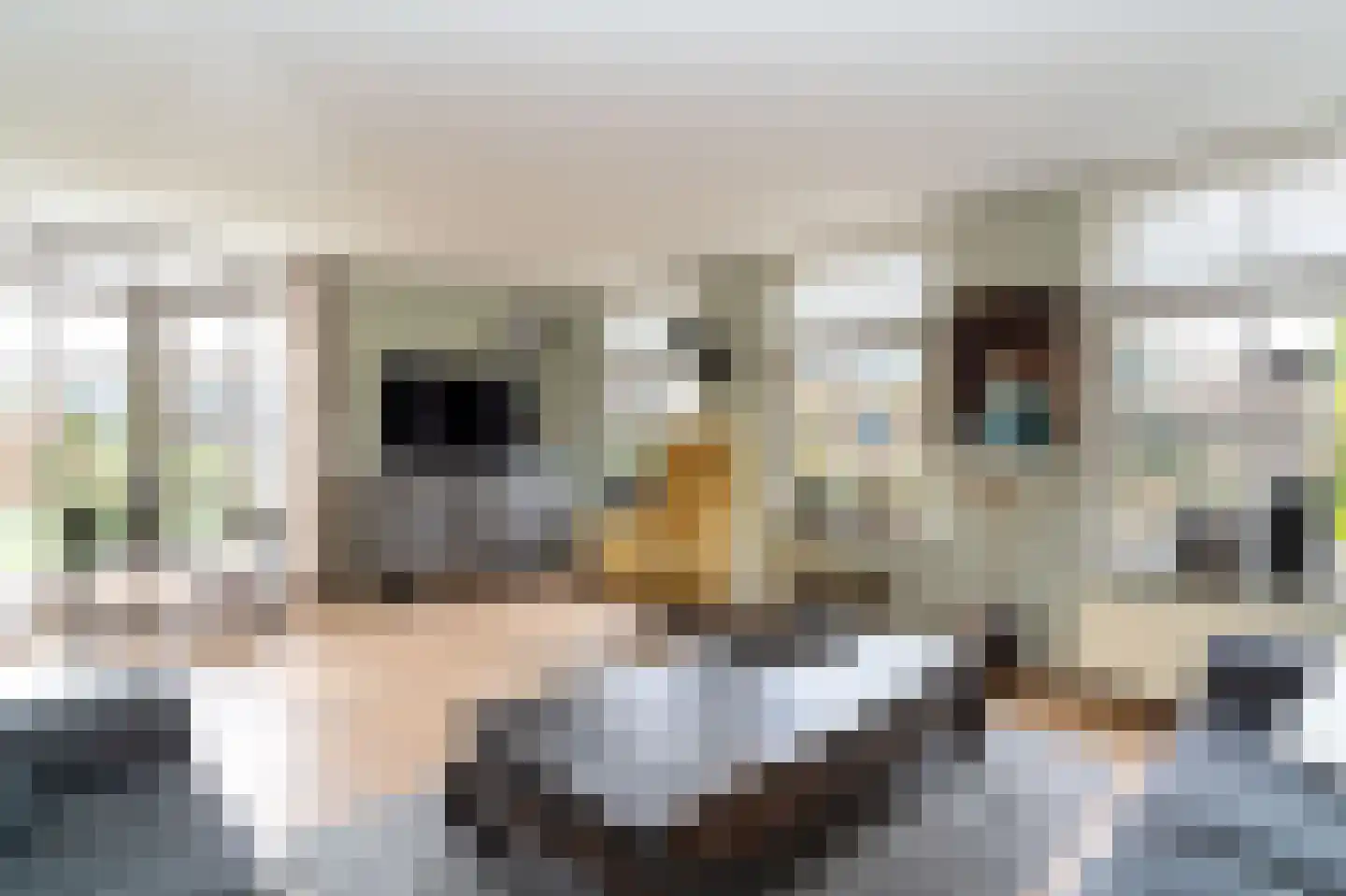 Achter 't Rad 33 Bovenkarspel thumbnail 6