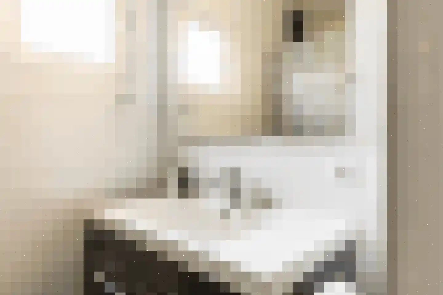 Achter 't Schop 13 Vught thumbnail 16