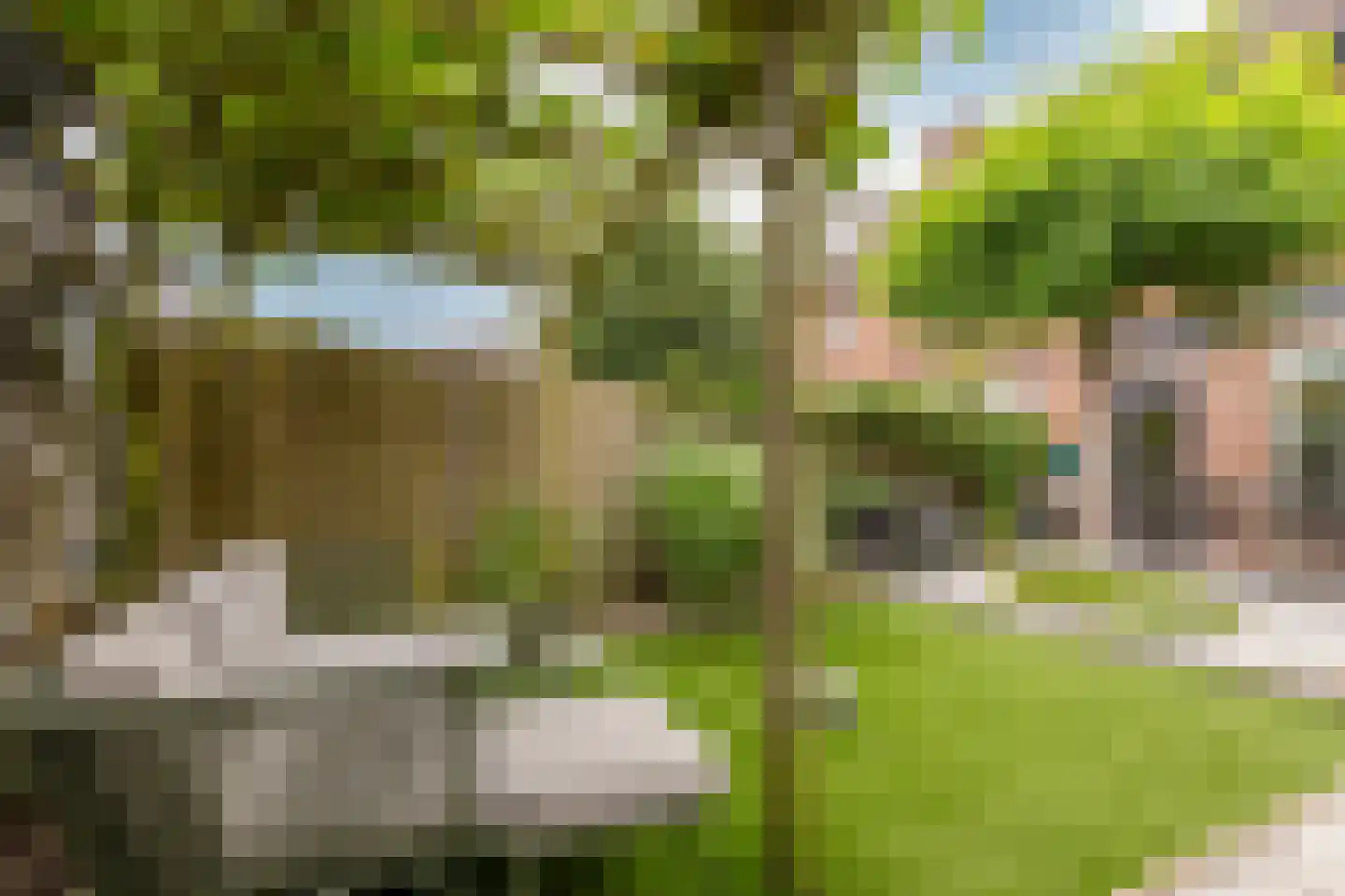 Achter 't Schop 13 Vught thumbnail 28