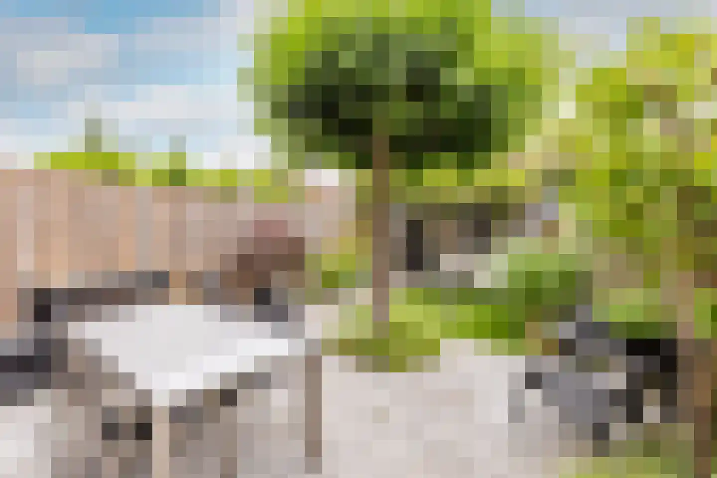 Achter 't Schop 13 Vught thumbnail 31