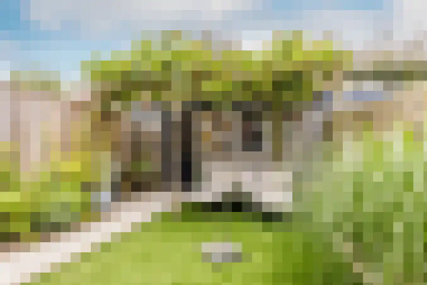 Achter 't Schop 13 Vught thumbnail 33