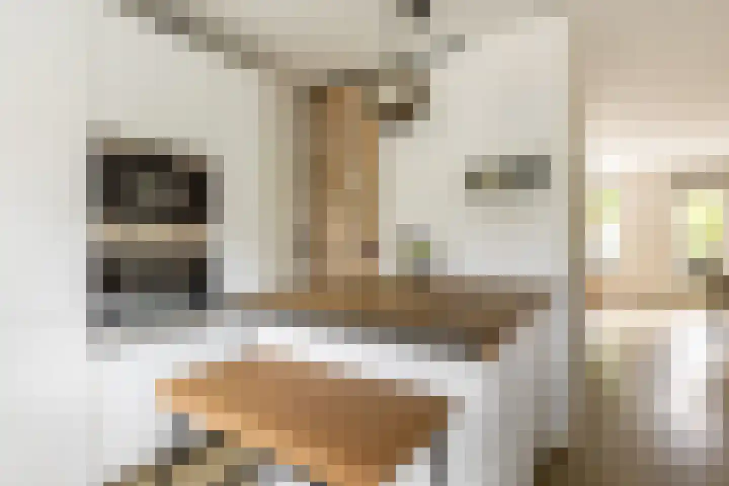 Achter 't Schop 13 Vught thumbnail 9