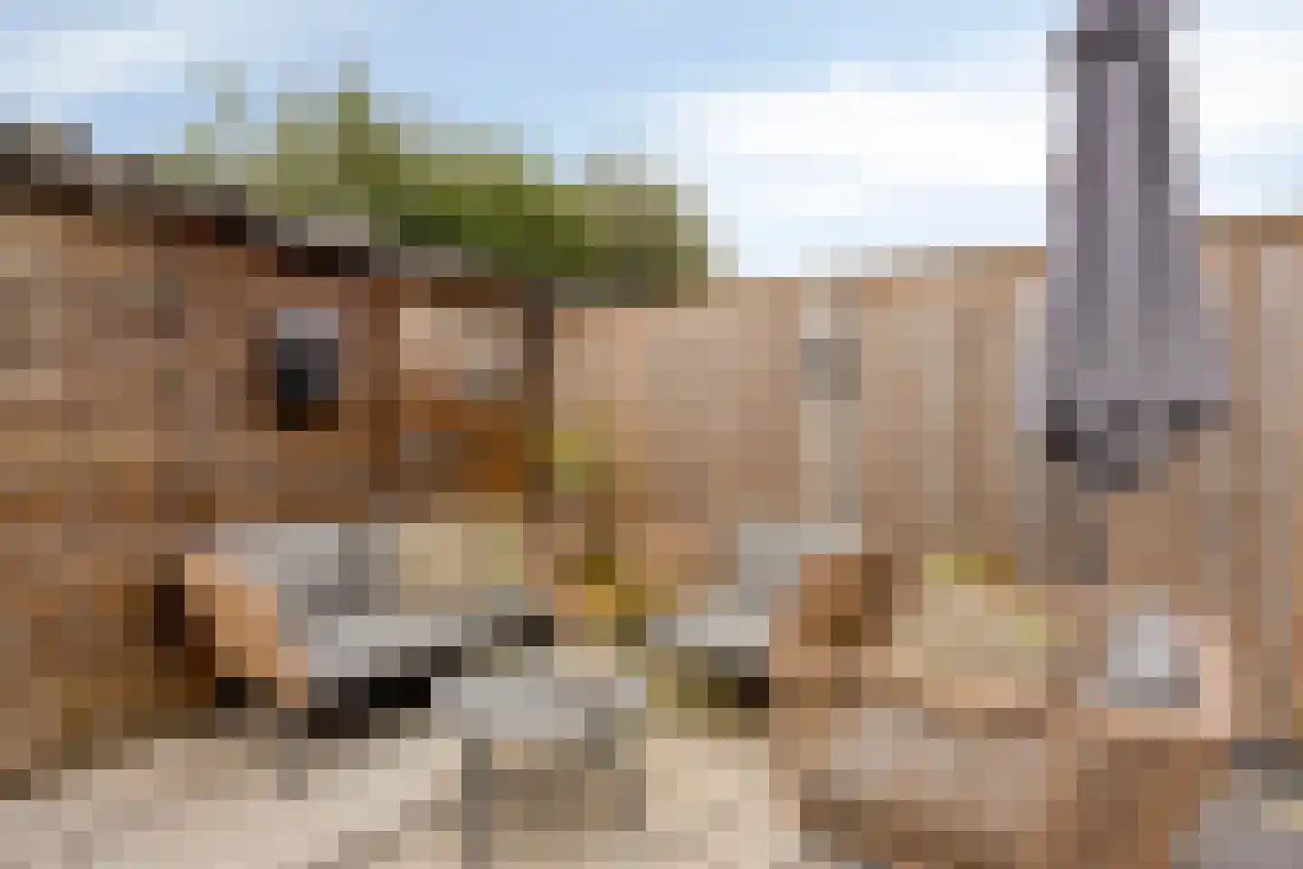 Achter 't Schop 3 Vught thumbnail 29