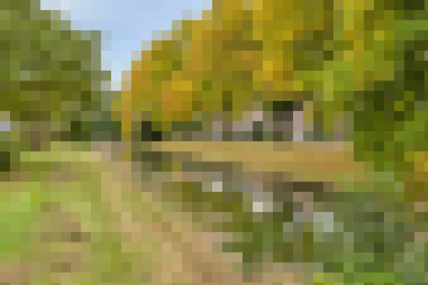 Achter 't Schop 3 Vught thumbnail 34