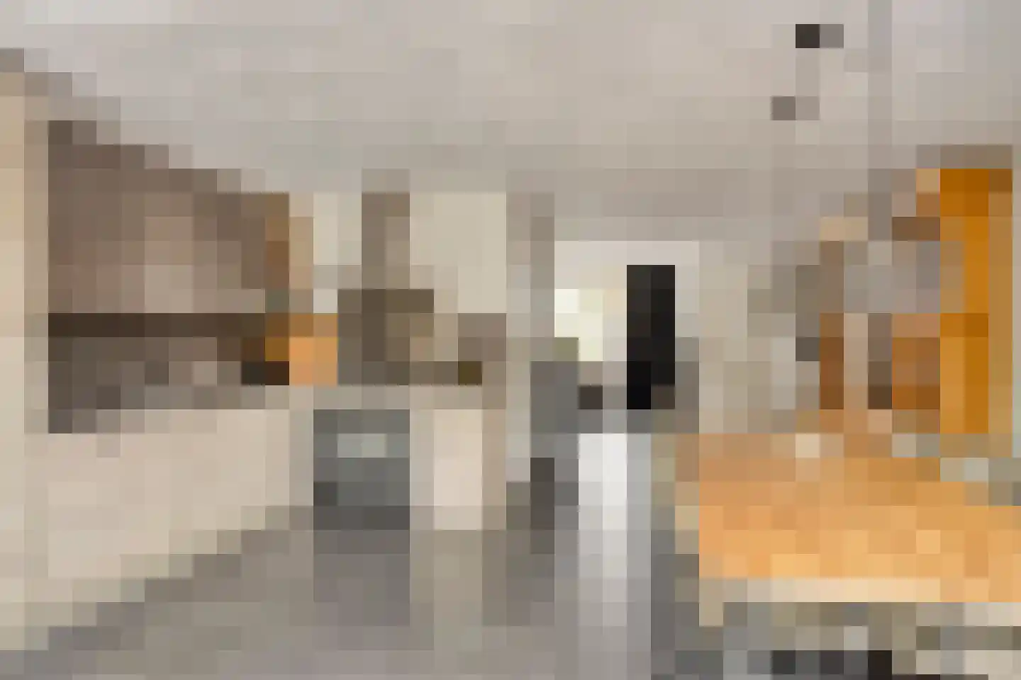 Achter 't Schop 3 Vught thumbnail 8