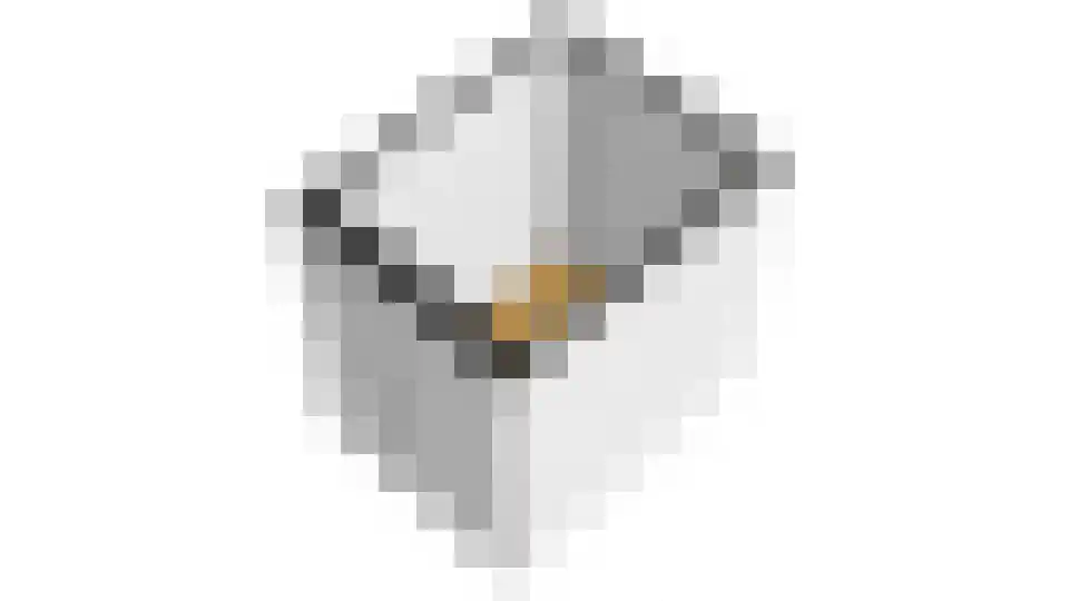 Achter 't Veer 26 Geldermalsen thumbnail 19