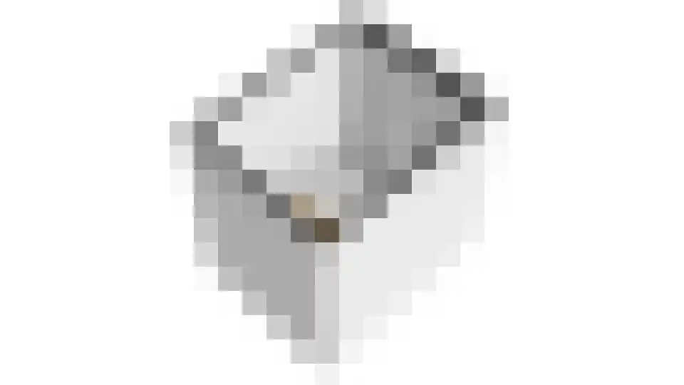 Achter 't Veer 26 Geldermalsen thumbnail 20
