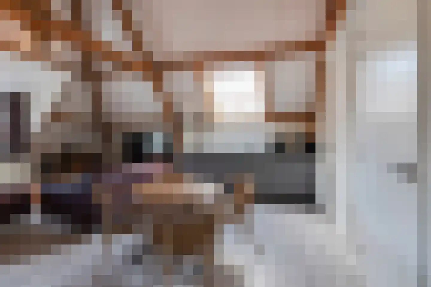 Achter 't Veer 26 Geldermalsen thumbnail 5