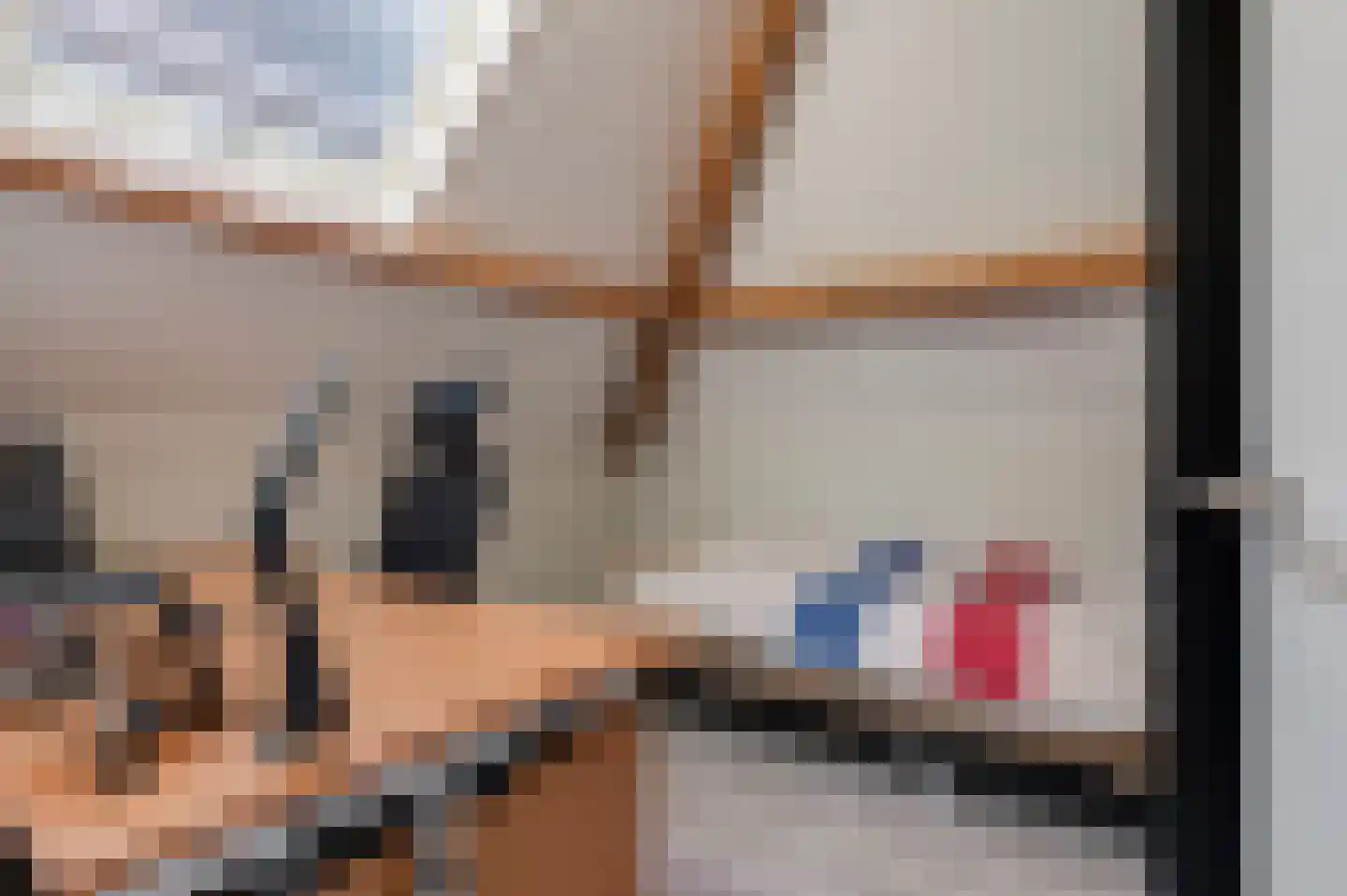 Achter 't Veer 26 Geldermalsen thumbnail 9