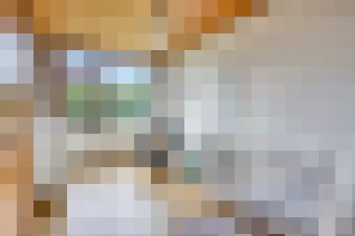 Achter 't Ven 4 Schaijk thumbnail 19