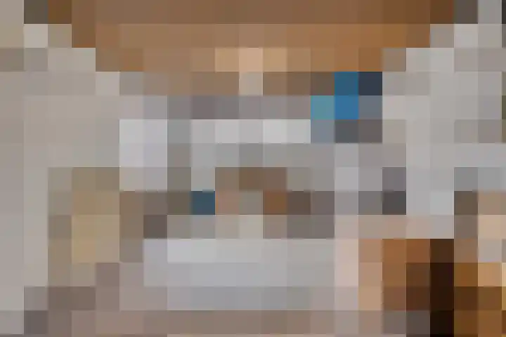 Achter 't Ven 4 Schaijk thumbnail 22