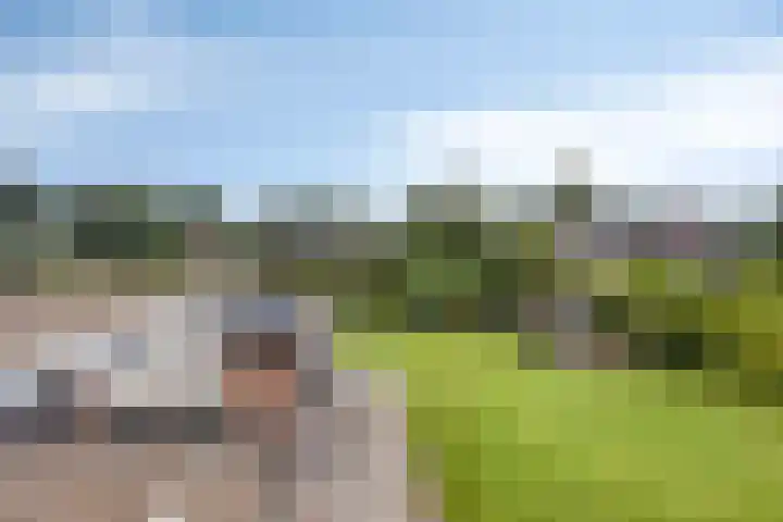 Achter 't Ven 4 Schaijk thumbnail 24