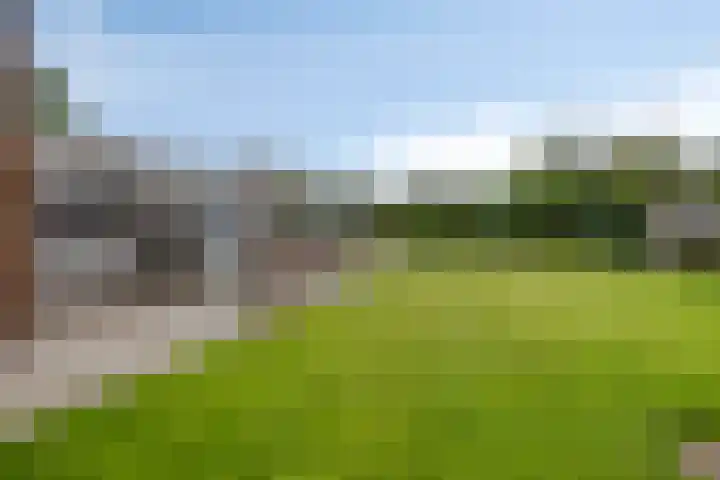 Achter 't Ven 4 Schaijk thumbnail 25