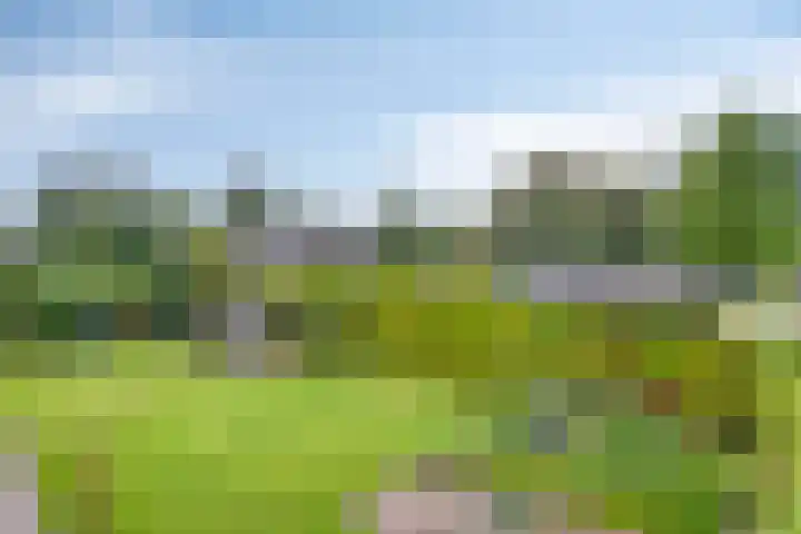 Achter 't Ven 4 Schaijk thumbnail 26