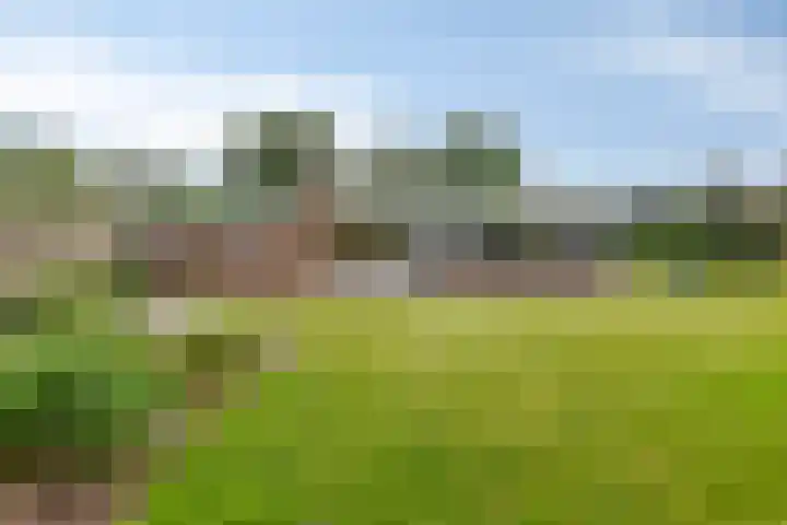 Achter 't Ven 4 Schaijk thumbnail 28
