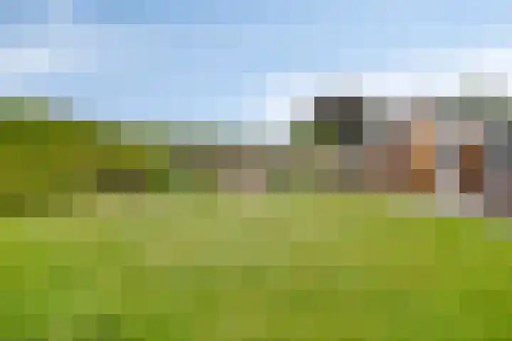 Achter 't Ven 4 Schaijk thumbnail 29