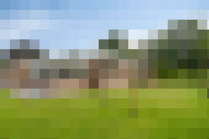 Achter 't Ven 4 Schaijk foto 3