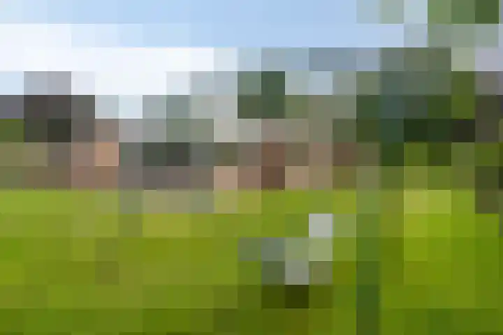 Achter 't Ven 4 Schaijk thumbnail 30