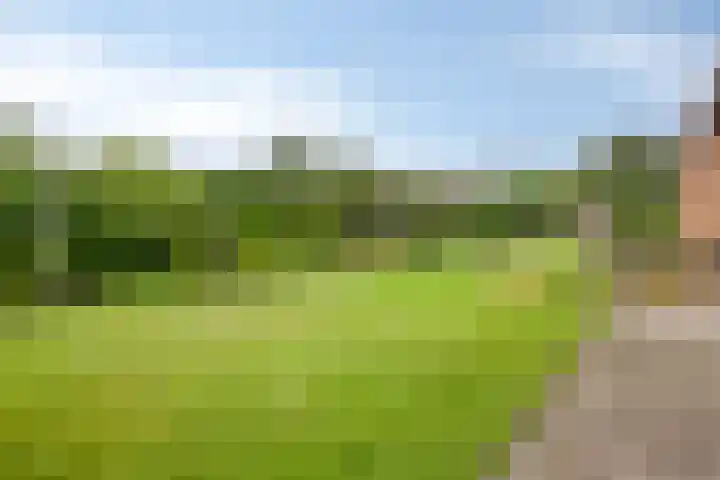 Achter 't Ven 4 Schaijk thumbnail 33